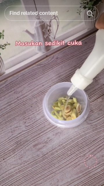 Cara wanita usir cicak ini efektif meski tanpa membuat perangkap, cuma pakai 2 bahan dapur