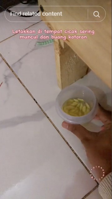 Cara wanita usir cicak ini efektif meski tanpa membuat perangkap, cuma pakai 2 bahan dapur