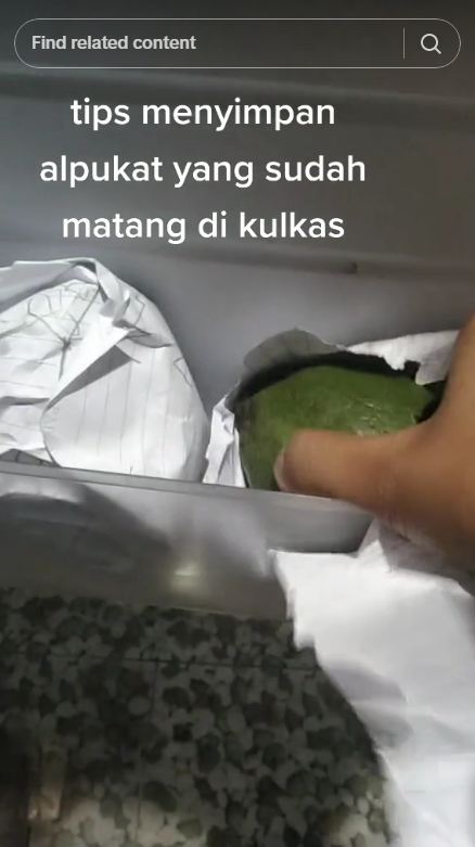 Tanpa dibelah dulu, wanita ini punya trik simpan alpukat utuh agar dagingnya tak busuk hingga 3 bulan