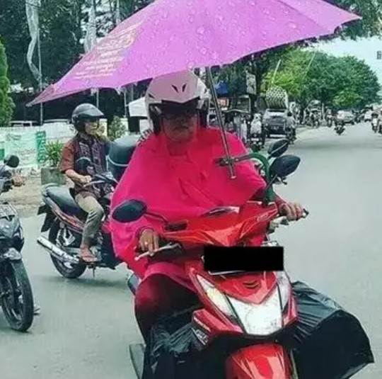 Potret kocak menghindari hujan Berbagai sumber Potret kocak menghindari hujan Berbagai sumber