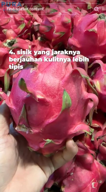 Trik memilih buah naga yang matang dan rasanya manis, ampuh tanpa perlu ditekan-tekan