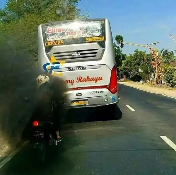 kejadian apes saat berkendara motor Berbagai sumber