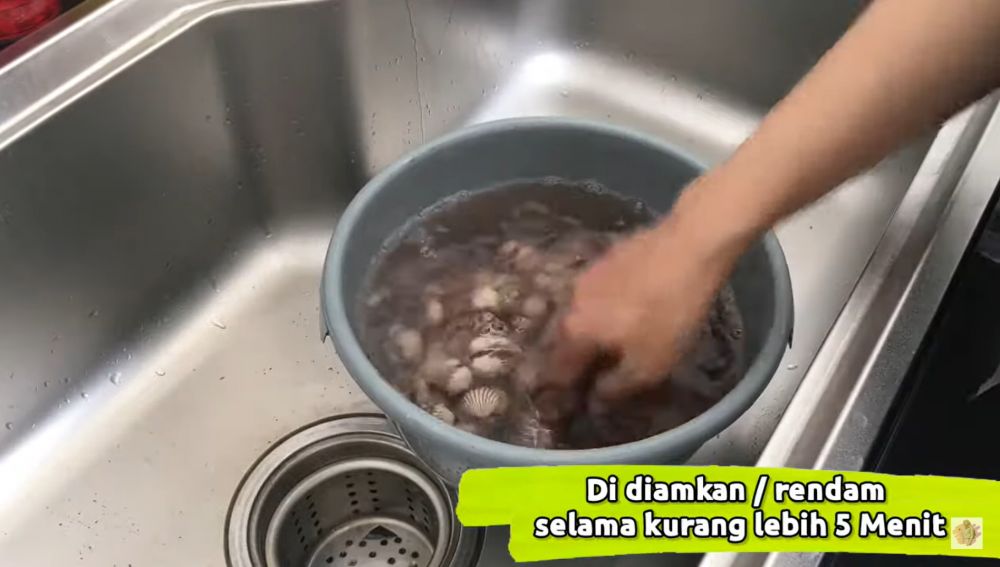 Tak perlu disikat satu per satu, ini cara praktis bersihkan kerang dara dari pasir pakai 2 bahan dapur