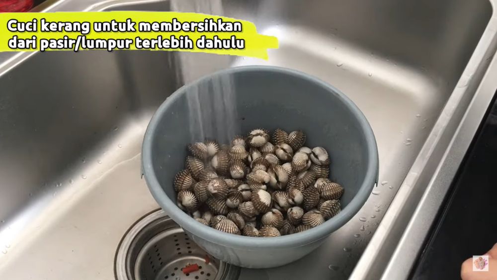 Tak perlu disikat satu per satu, ini cara praktis bersihkan kerang dara dari pasir pakai 2 bahan dapur