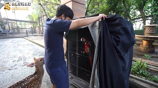 halaman rumah Alshad Ahmad © YouTube