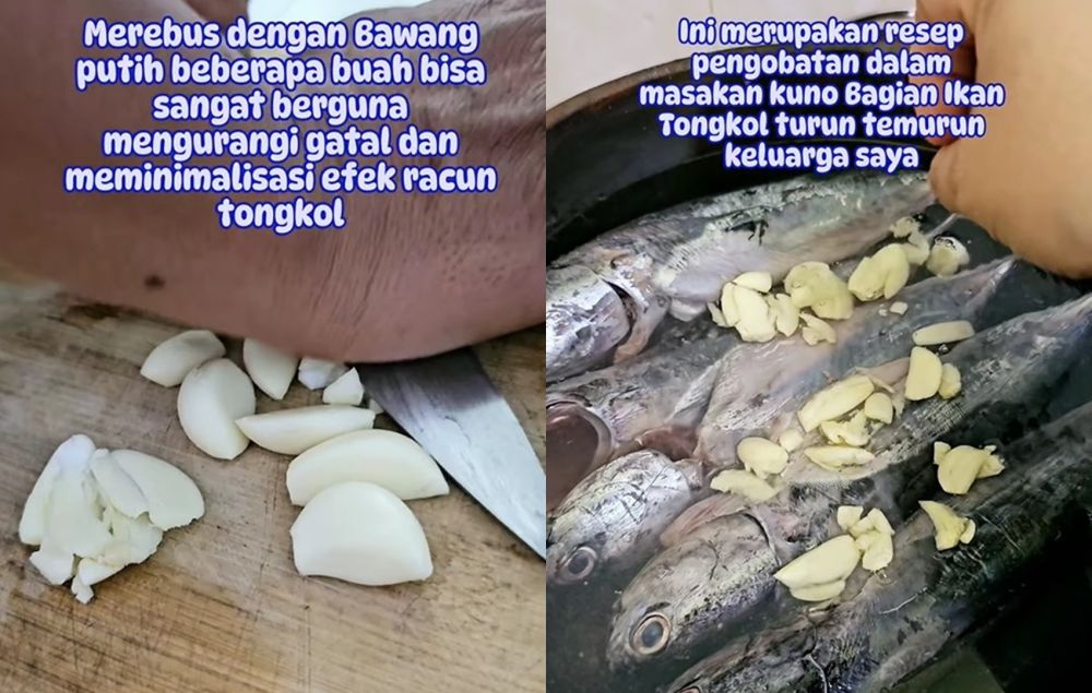 Tak perlu buang ekornya, begini trik hilangkan racun pada ikan tongkol pakai 1 bumbu dapur