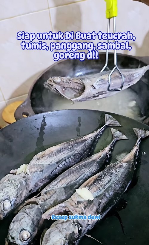 Tak perlu buang ekornya, begini trik hilangkan racun pada ikan tongkol pakai 1 bumbu dapur