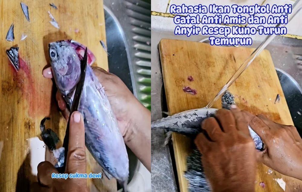 Tak perlu buang ekornya, begini trik hilangkan racun pada ikan tongkol pakai 1 bumbu dapur
