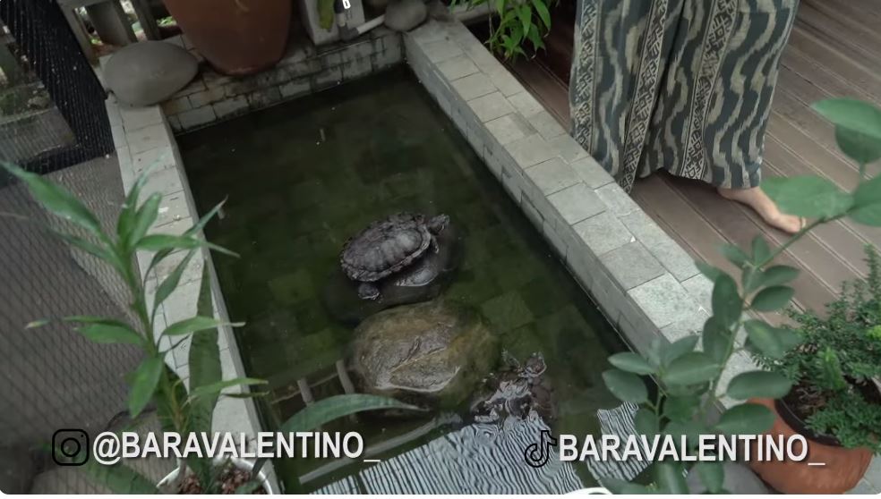 potret teras rumah minimalis angela gilsha © YouTube