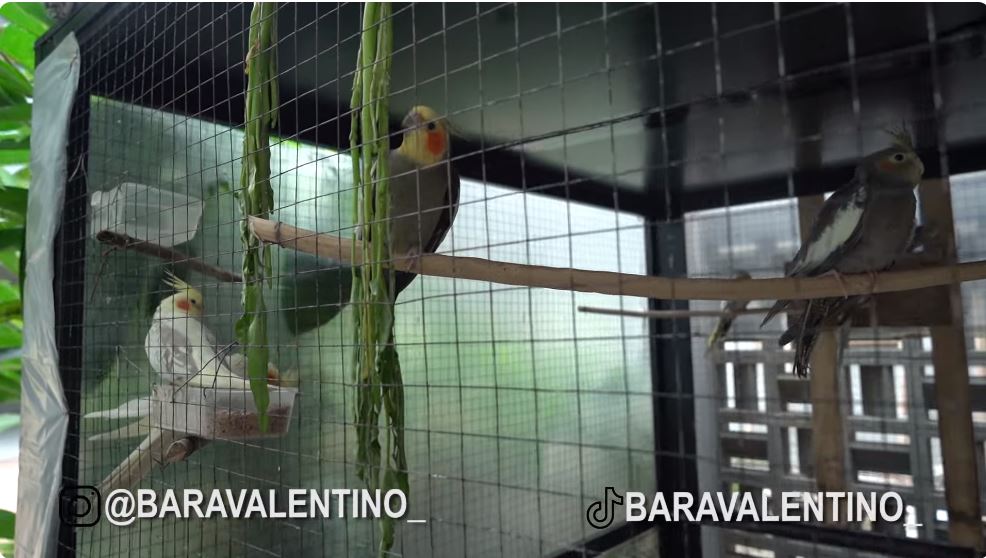 potret teras rumah minimalis angela gilsha © YouTube