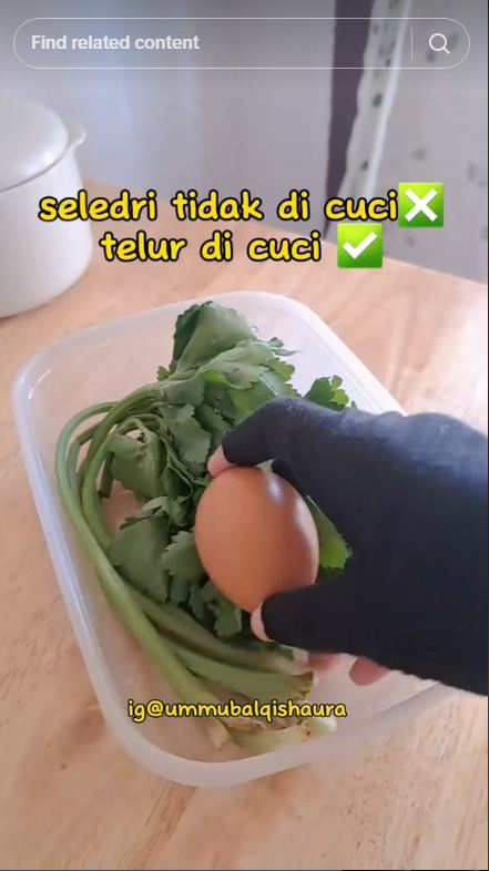 Tanpa dibekukan atau direndam air, ini cara menyimpan seledri semakin awet segar hingga 3 minggu