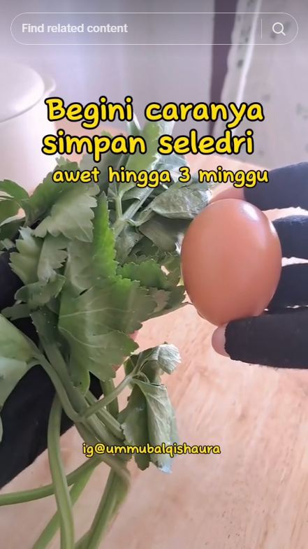 Tanpa dibekukan atau direndam air, ini cara menyimpan seledri semakin awet segar hingga 3 minggu