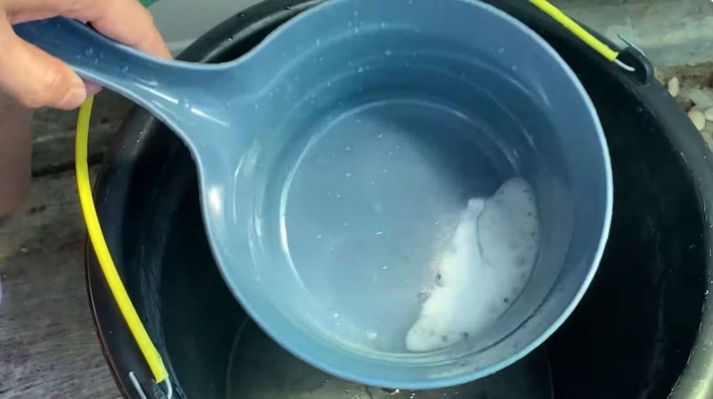 Cukup pakai 3 bahan dapur, ini trik ampuh basmi kerak tebal di kloset tanpa air panas dan sitrun