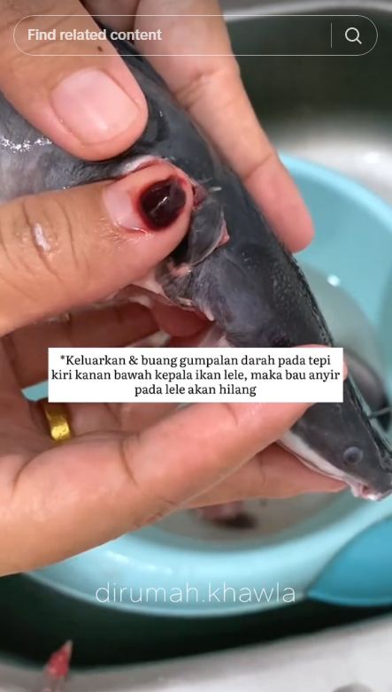 Tanpa dibaluri garam atau jeruk nipis, ini cara menghilangkan bau amis dan lendir pada ikan lele