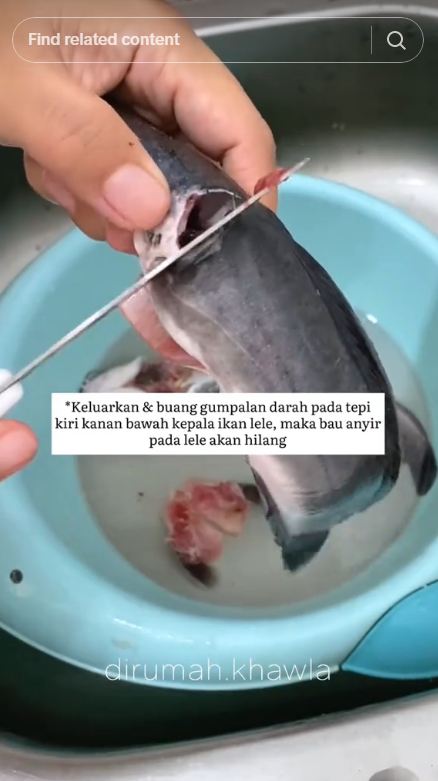 Tanpa dibaluri garam atau jeruk nipis, ini cara menghilangkan bau amis dan lendir pada ikan lele