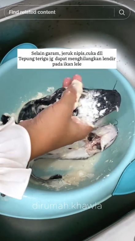 Tanpa dibaluri garam atau jeruk nipis, ini cara menghilangkan bau amis dan lendir pada ikan lele