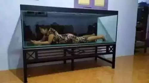 emak-emak gabut nyeleneh berbagai sumber