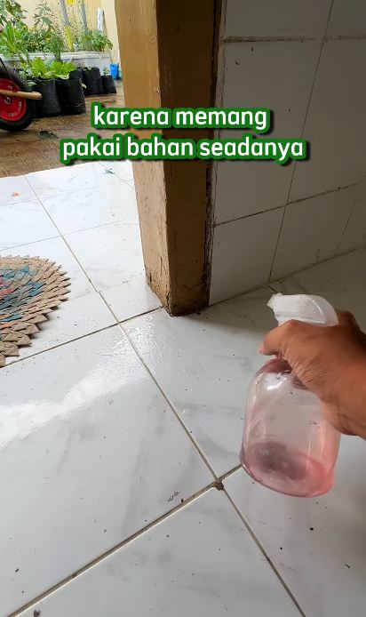 Bukan pakai kulit jeruk, ini trik ampuh mengusir sekaligus mencegah semut hanya dengan 1 bahan dapur