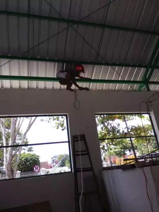 kuli nyeleneh abis berbagai sumber