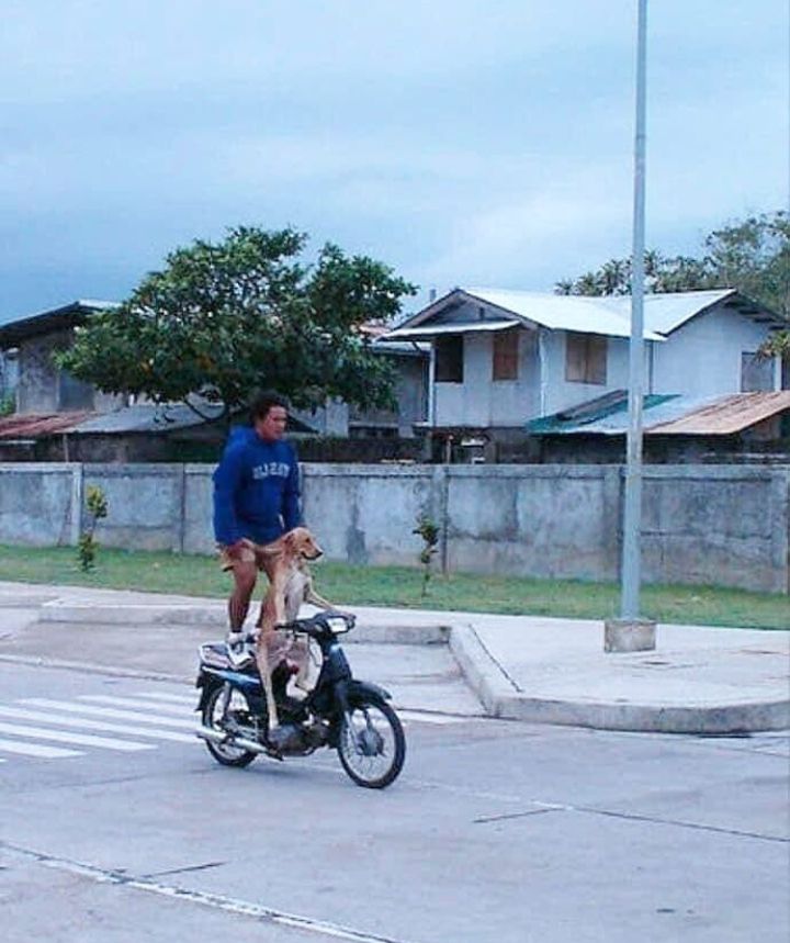 dibonceng nyeleneh abis berbagai sumber