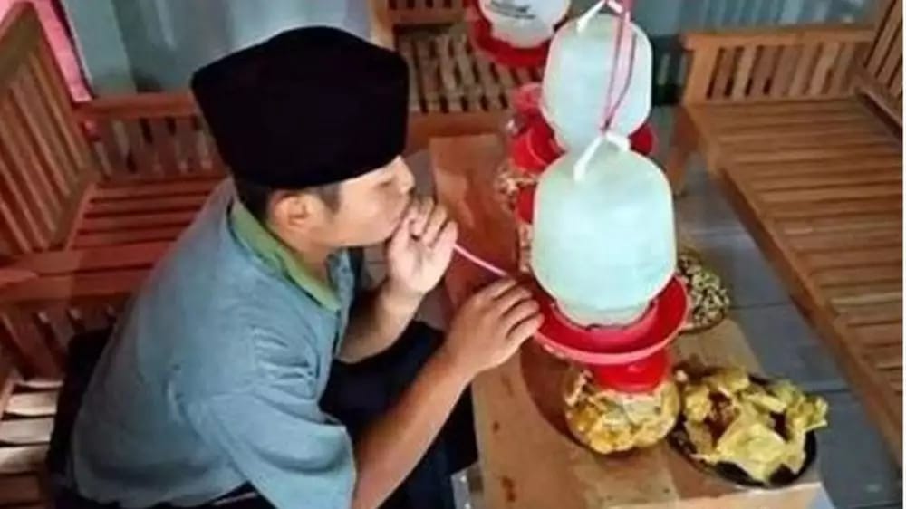 inovasi wadah makanan nyeleneh berbagai sumber