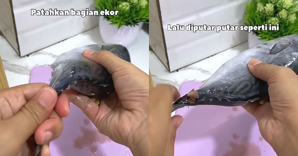 Bukan direbus dulu, ini trik hilangkan racun ikan tongkol agar tak bikin alergi atau keracunan makanan