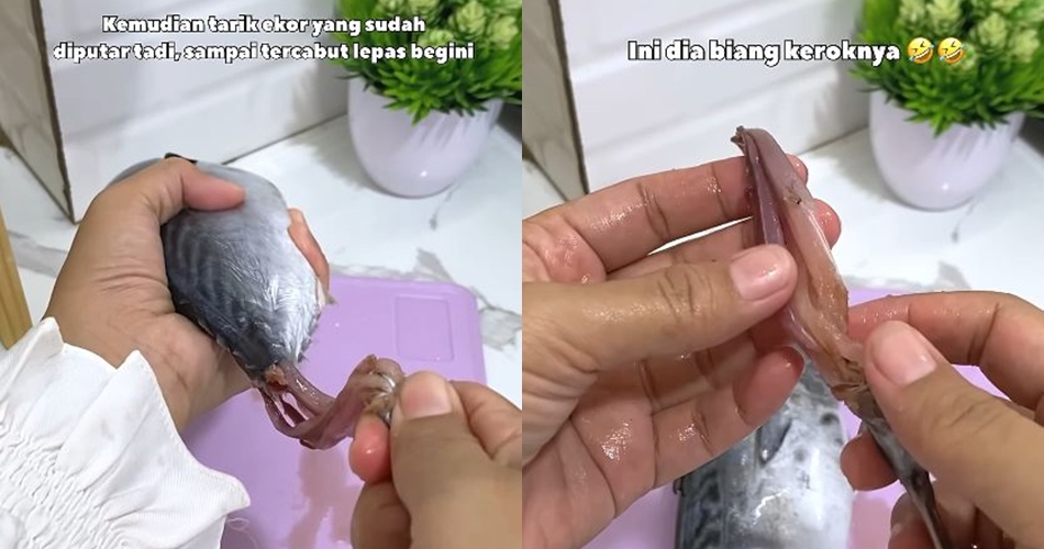 Bukan direbus dulu, ini trik hilangkan racun ikan tongkol agar tak bikin alergi atau keracunan makanan