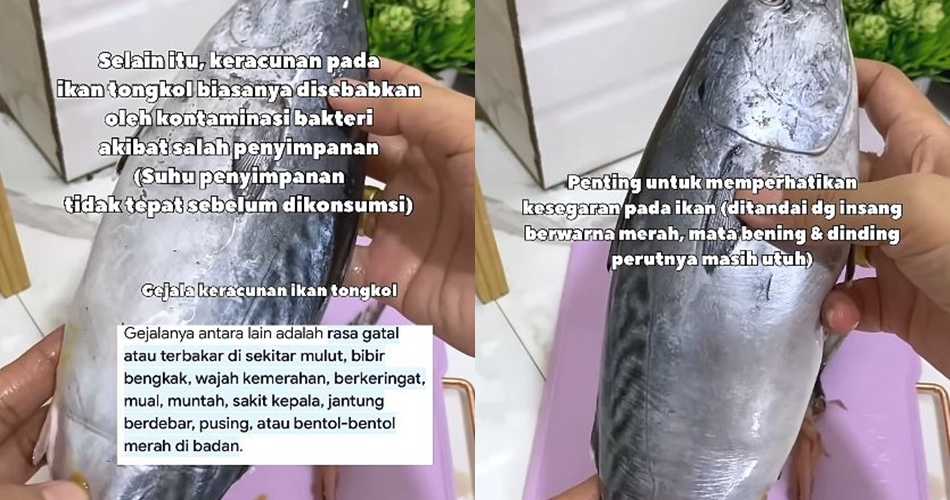 Bukan direbus dulu, ini trik hilangkan racun ikan tongkol agar tak bikin alergi atau keracunan makanan
