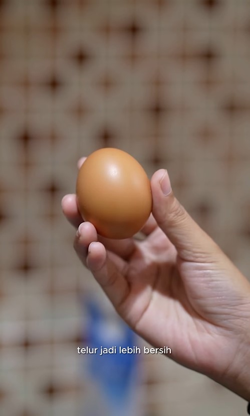 Jangan dicuci dengan air, ini trik bersihkan telur agar bebas bakteri dan tetap higienis saat disimpan