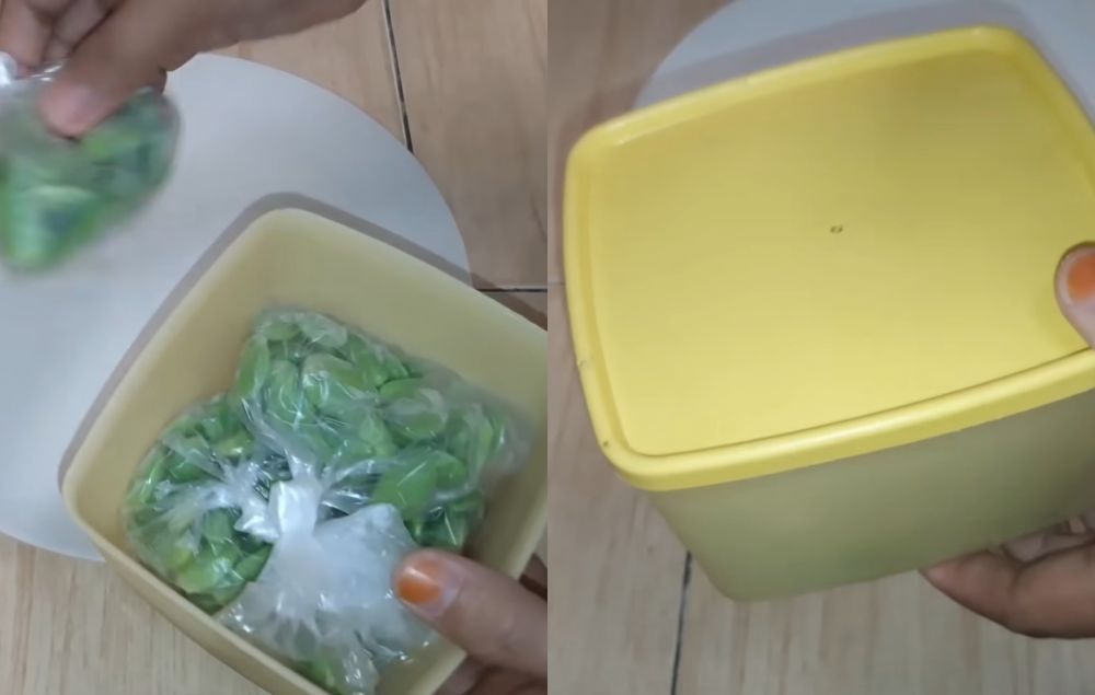 Bukan direndam minyak goreng, ini cara menyimpan petai kupas agar awet berbulan-bulan