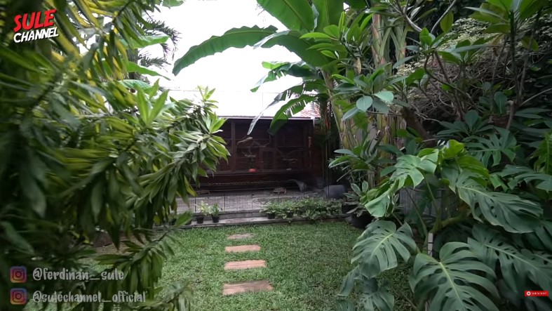 halaman belakang Tora Sudiro © YouTube