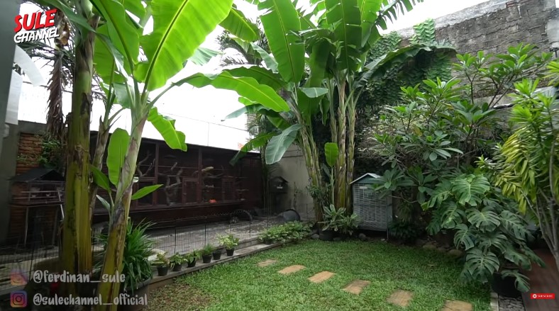 halaman belakang Tora Sudiro © YouTube