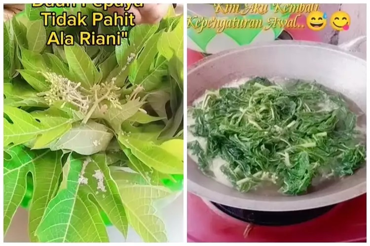 15 Cara menghilangkan rasa pahit daun pepaya, praktis pakai bahan sederhana