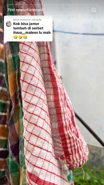 Tanpa ditaburi baking soda, ini cara cuci lap dapur dekil berjamur cukup pakai 2 bahan sederhana