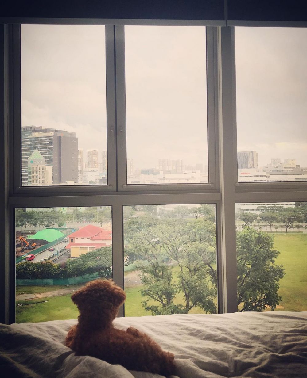 apartemen sarah sechan di singapura © berbagai sumber