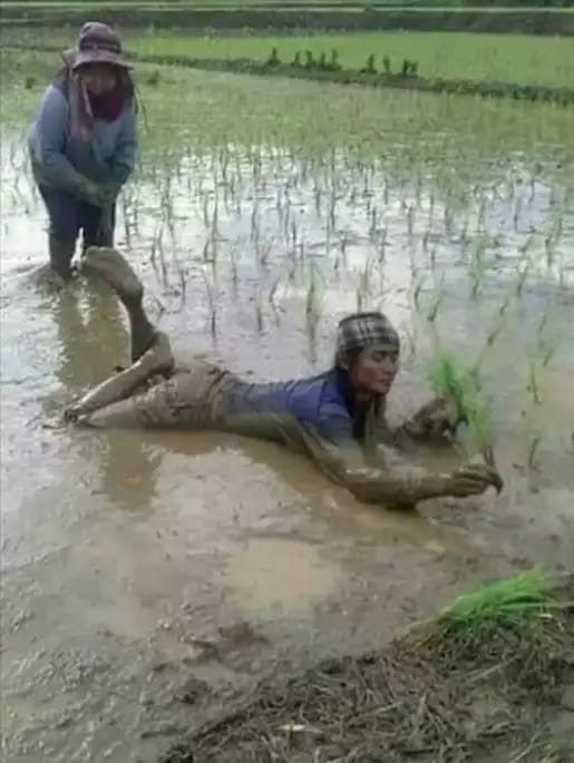 gaya petani nyeleneh berbagai sumber\