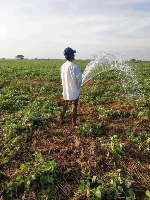 gaya petani nyeleneh berbagai sumber\