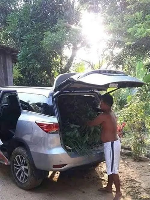 gaya petani nyeleneh berbagai sumber\