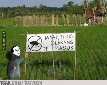 gaya petani nyeleneh berbagai sumber\ gaya petani nyeleneh berbagai sumber\