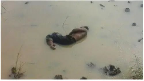 gaya petani nyeleneh berbagai sumber\ gaya petani nyeleneh berbagai sumber\