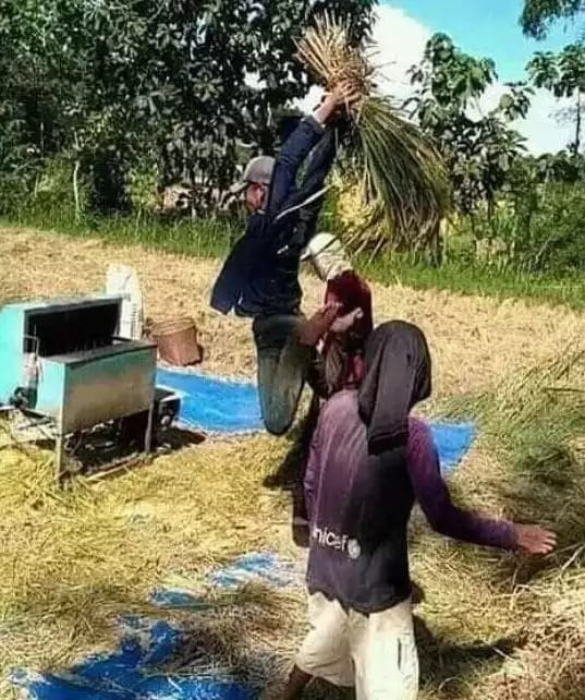 gaya petani nyeleneh berbagai sumber\ gaya petani nyeleneh berbagai sumber\