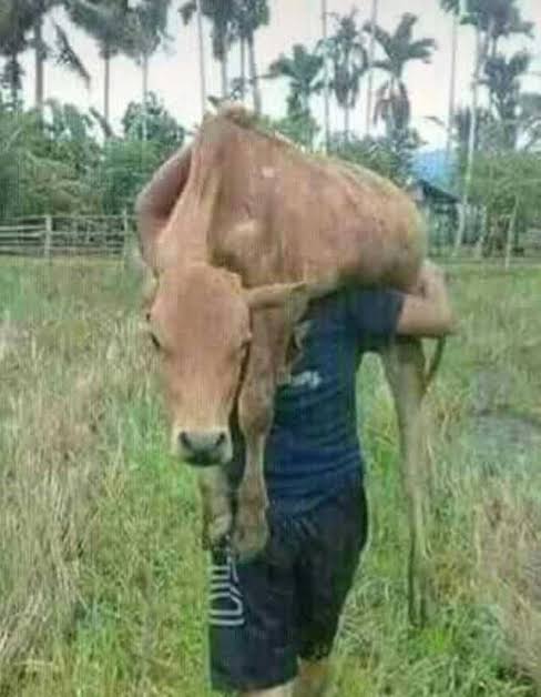 gaya petani nyeleneh berbagai sumber\ gaya petani nyeleneh berbagai sumber\