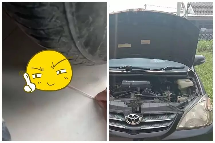15 Cara mengusir tikus pakai bahan sederhana, mudah dan ampuh