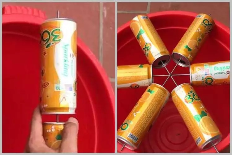 15 Cara mengusir tikus pakai bahan sederhana, mudah dan ampuh