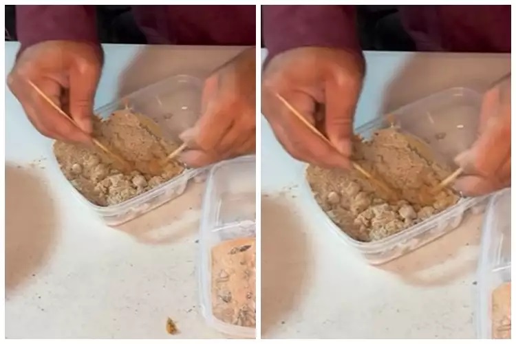 15 Cara mengusir tikus pakai bahan sederhana, mudah dan ampuh