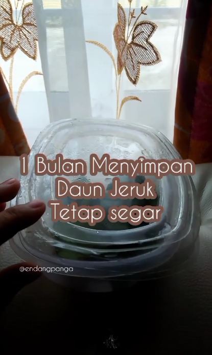 Bukan di freezer, ini trik simpan daun jeruk agar tetap hijau dan tak kering hingga 1 bulan