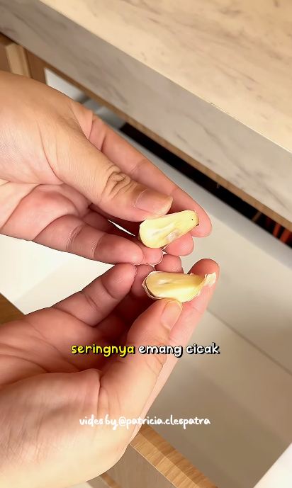 Tanpa cuka dan lada, ini cara mencegah datangnya cicak di laci dapur andalkan 1 bumbu dapur