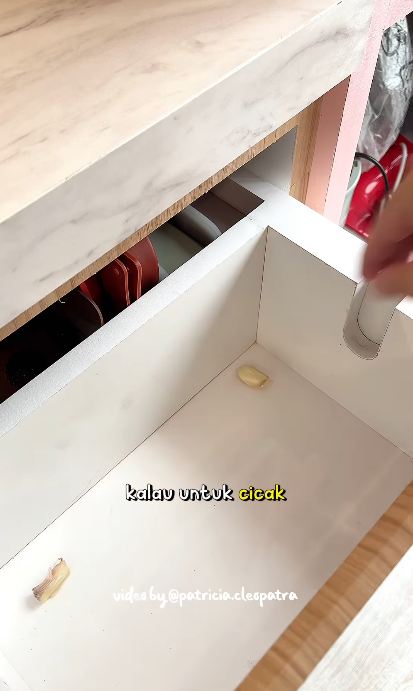 Tanpa cuka dan lada, ini cara mencegah datangnya cicak di laci dapur andalkan 1 bumbu dapur