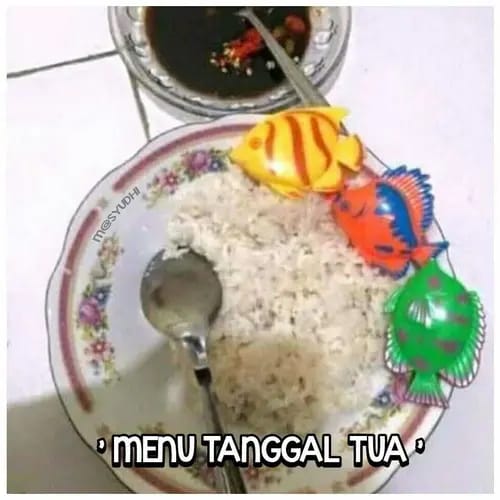 makan anak kos akhir bulan berbagai sumber makan anak kos akhir bulan berbagai sumber
