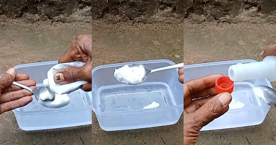 Tanpa diolesi sitrun, trik pria basmi noda lumut di keramik kamar mandi ini ampuh pakai 2 bahan dapur